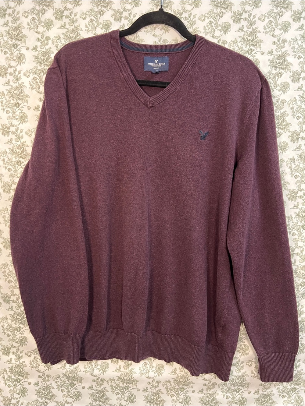 American Eagle Outfitters Men's V-Neck Sweater in Burgundy